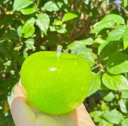Squishy Smoothie Apple